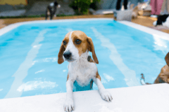 【HP限定】15％OFF★レイニーシーズン特別プラン～食事処（スタンダード）