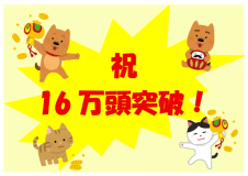 おかげ様で16万頭を超えるペットちゃんにご宿泊を頂きました