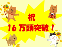 おかげ様で16万頭のペットちゃんにお泊り頂きました
