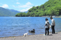 21時までのチェックインで日光・鬼怒川の観光を愛犬・愛猫と満喫プラン【1泊朝食つき】