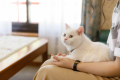 【ネコちゃん歓迎！猫ちゃん専用プラン】部屋食◆ネコちゃんとのご旅行をサポート【キャット用具】&【キャットルーム】♪