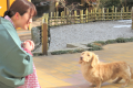 【特別室に泊まる】ちょっと贅沢な休日★ペットちゃんとのんびり温泉旅行♪
