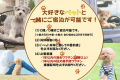 ペット同伴に関してのご案内