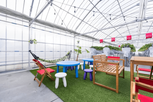 【古民家】土日・1日1組限定!!いちご狩りセット☆非日常に浸る!自然とゆっくり過ごす贅沢BBQプラン!選べるアップグレード♪1～6名様用