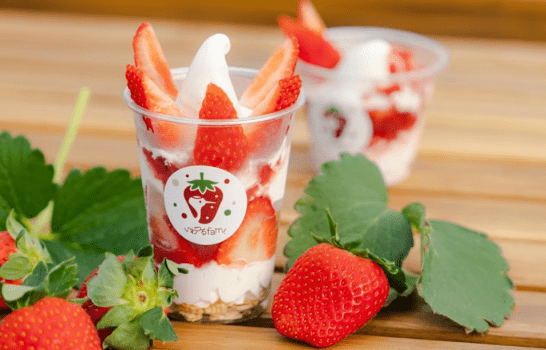 【古民家】土日・1日1組限定!!いちご狩りセット☆非日常に浸る!自然とゆっくり過ごす贅沢BBQプラン!選べるアップグレード♪1～6名様用