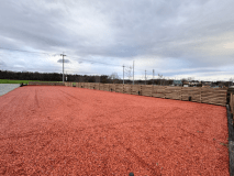 ニワトコサイト ①（全長15m×6m）