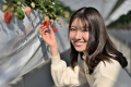11月下旬から6月中旬まで、秩父ではいちご狩りが楽しめます。一人でも気軽に行けるいちご農園が、須崎旅館から車で30分のところに2ヶ所。秩父地域のいちごが甘いのは、秩父特有の気候があるからです。山々でろ過されたミネラルたっぷりの水や寒暖の差によって、濃厚な甘さのいちごが育ちます。