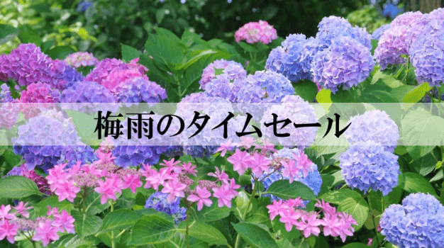 梅雨のタイムセール！