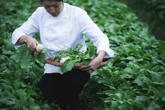 【1日2組限定）お子様と楽しむ Local Luxury Stay