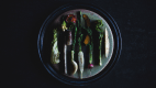 Dinner and Breakfast Included | Standard stay