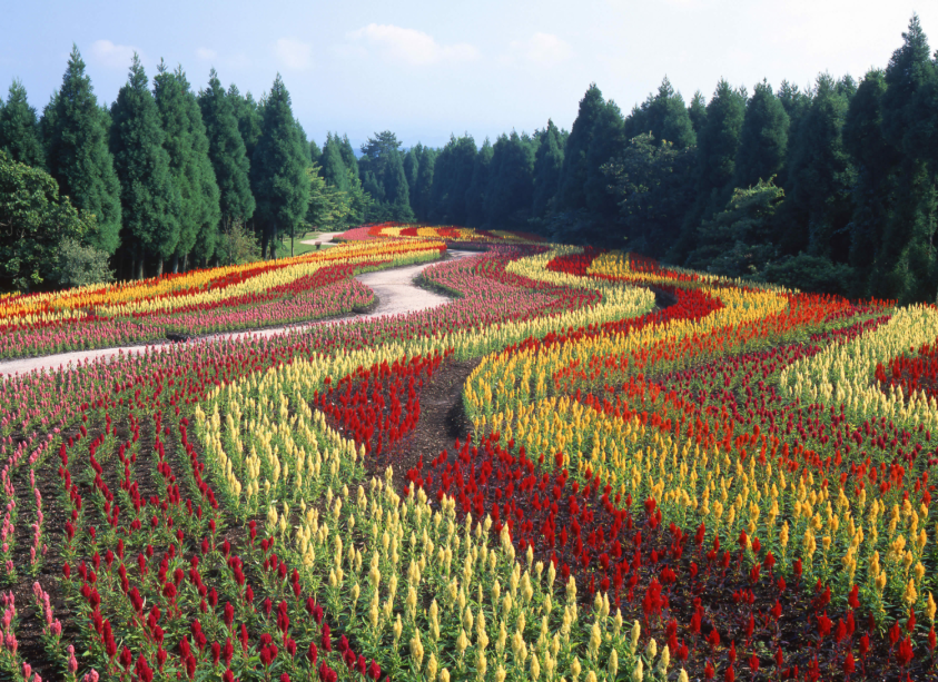 花公園まで車で15分ほど