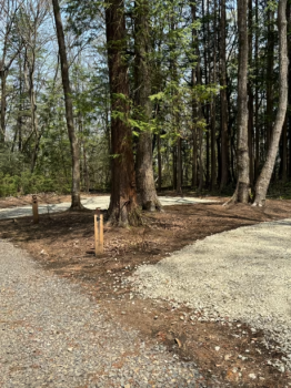 キャンプサイト　砂利区画