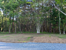 キャンプサイト　大