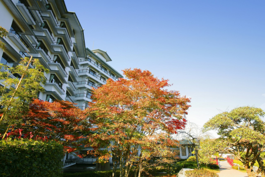 紅葉がきれいな秋の緑水亭
