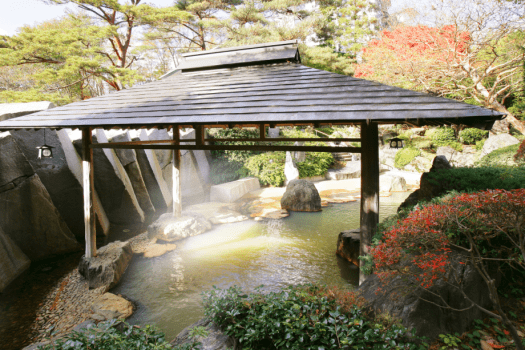 野趣にあふれるダイナミックな露天風呂