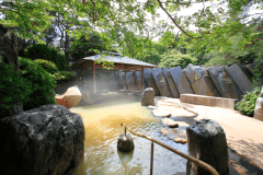 緑いっぱいの露天風呂！風情たっぷり