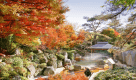 紅葉がきれいな秋の露天風呂 紅葉がきれいな秋の露天風呂