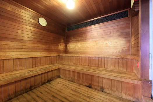 【あいの湯】岩手の炭サウナ