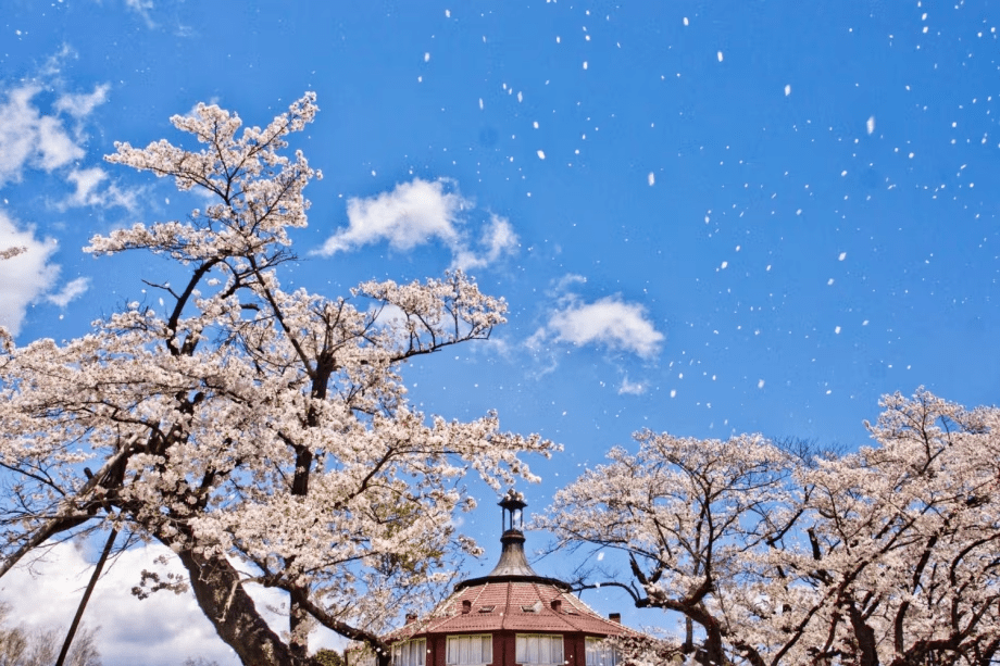 清春芸術村・・・清泉寮から車で30分