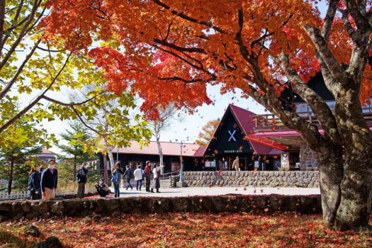 【一戸建てコテージ】八ヶ岳の紅葉☆大自然と食事どちらも満喫！秋の清里散策《朝食付き》