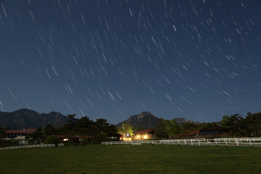 お泊りの際は、夜のお散歩オススメです♪
