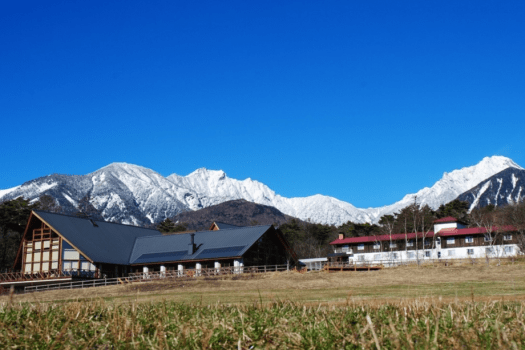 春は緑と雪を楽しめる素敵な季節