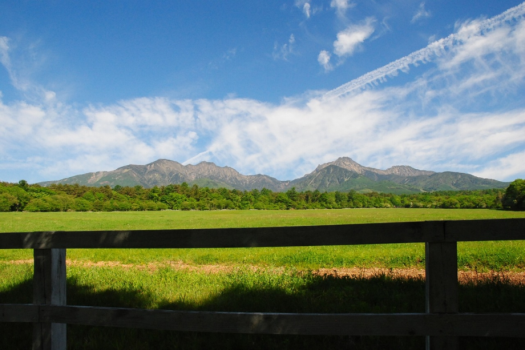 やっぱ高原といえば牧草と山！