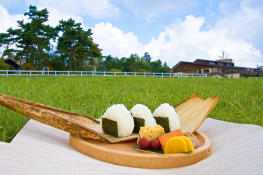 和の料理人がが作ったおにぎり弁当♪