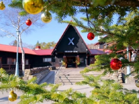 清泉寮本館ロータリークリスマスシーズンの様子
