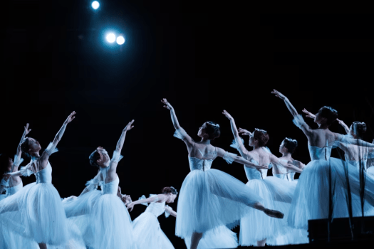 2026年の演目は《新作》「ラ・シルフィード 全２幕」