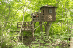 【ファームショップの隣接した森】ツリーハウスやブランコも設置。森の中で遊ぶ！満喫しよう。