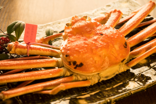 冬のカニプラン　【　月のしずかモデスト　】　美味しく食べきりコース　カニ鍋・焼カニ・・・＆タグ付活蟹を「茹で」か「刺し」で