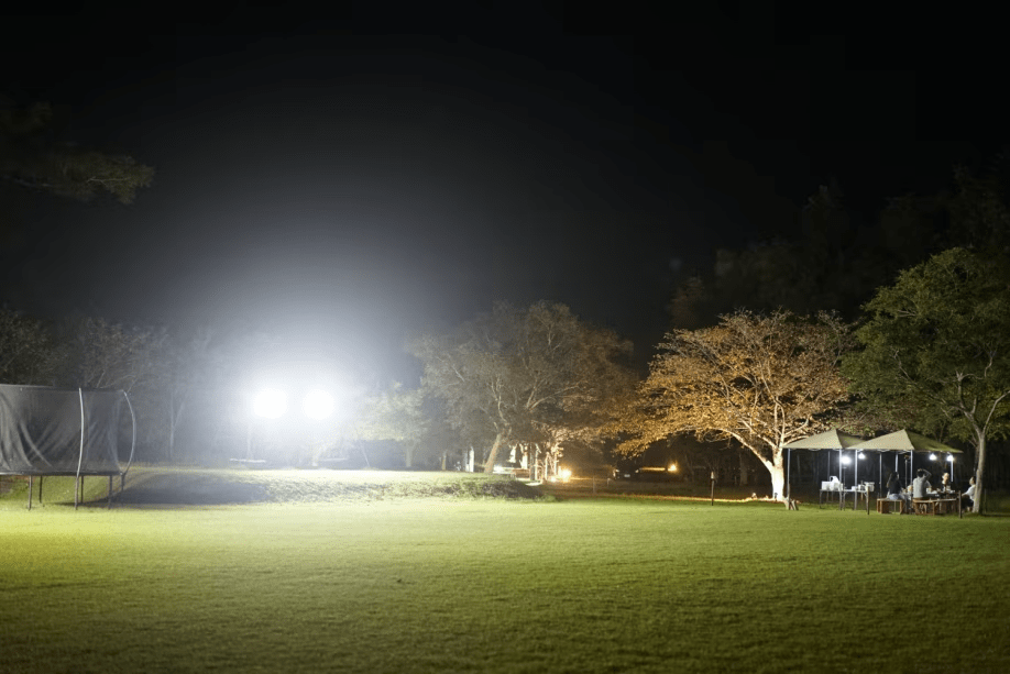 フリーキャンプサイト