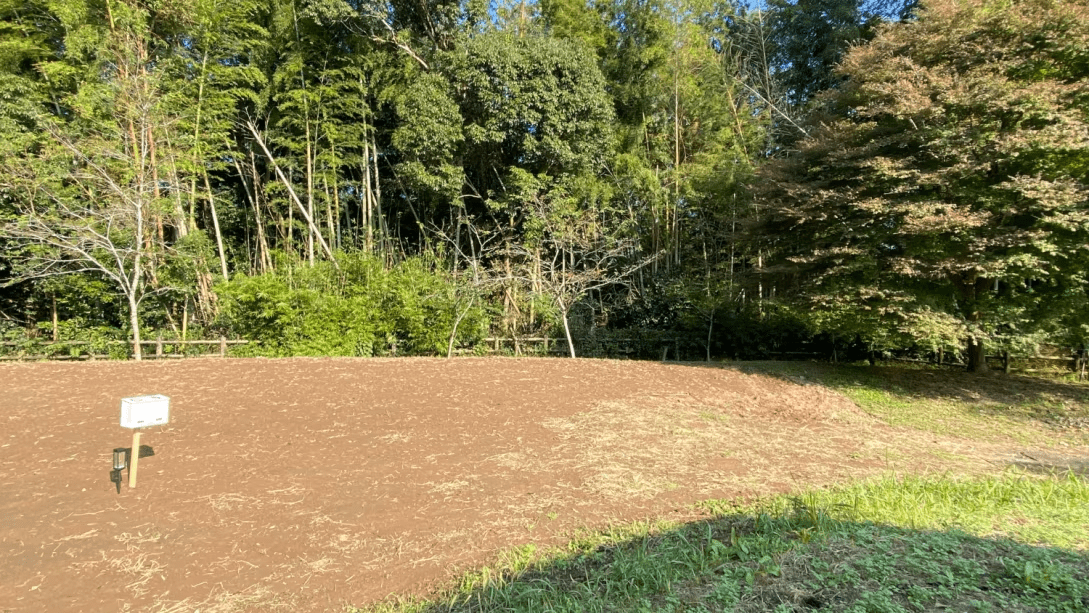 キャンプサイトC