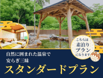 スタンダードプラン