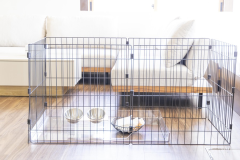 1棟貸のプライベート宿【ドッグラン付き】