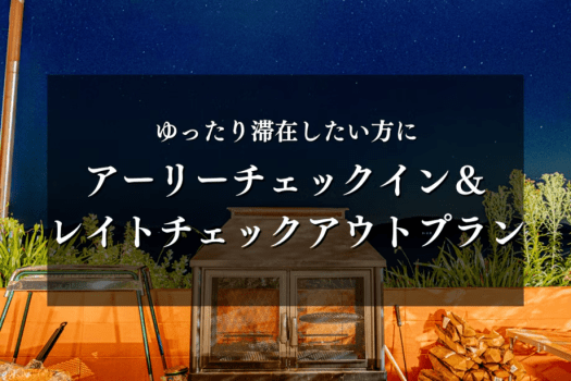 【14：00～翌11：00】アーリーチェックイン＆レイトチェックアウトプラン