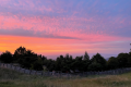 ホテル周辺風景（夕景）