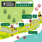 🌳ワイルドエリア🌳