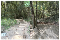 森4🐶ソロテント専用