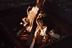 オートキャンプサイト【140㎡以上】