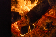 【석식, 조식 포함】스페셜 디너 코스