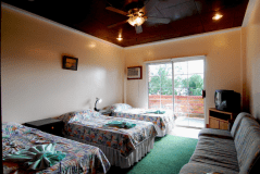 SEMI-DELUX C（セミデラックス・C）【ANTELOPE GUESTHOUSE】