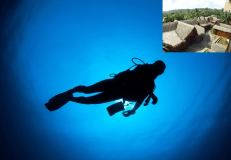 ■パラオプランテーションリゾート■ダイブパック２０２５■３泊４ダイブプラン（宿泊＋ダイビング＋空港送迎/レイトチェックアウトなし）