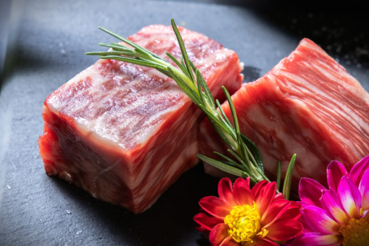 【連泊割】≪15％OFF≫ 特定日限定！愛犬とまったりstay♪熟成肉と地魚のコース料理,熟成肉のBBQ お持ち込みなど選べるお食事プラン