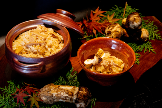 ■いぬやど会員限定10％OFF■【一泊二食】≪お部屋食≫ お日にち限定！熟成肉と地魚のコースプラン～千葉の自然に育まれた美味旬彩を堪能する～〈お日にち限定〉