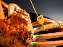 【基本プラン】【黄タグ付ブランド越前蟹約1.0㎏使用】【1人1パイずつ使用】熱々茹でガニ1パイ・カニ刺し半身・焼きガニ半身の基本プラン。オプション追加で自由な組み合わせを（詳しくはプラン詳細で）※12歳以下のお子様ご利用不可（乳幼児含む）