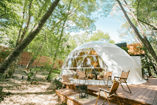 Yahoo!トラベル東海 口コミ評価「1位」記念〈1泊2食付・飲み放題付〉