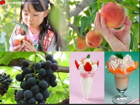 ★マイカープラン！原田農園パフェ作り＋味覚狩りセット＆【あわしま会席】+【伝統の山賊鍋】レストラン食