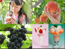 ★マイカープラン！原田農園パフェ作り＋味覚狩りセット＆【あわしま会席】+【伝統の山賊鍋】レストラン食